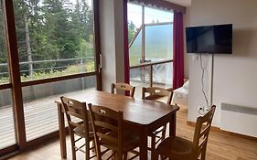 Appartement Pied Des Pistes, Terrasse Wifi Et Parking